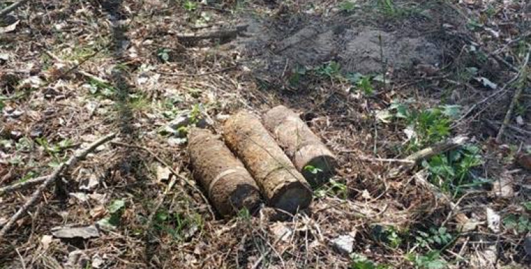 На Радивилівщині піротехніки знищили 12 снарядів часів війни