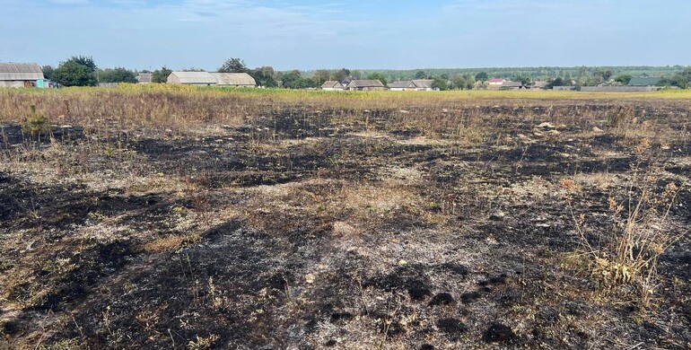 На Рівненщині жінка підпалила траву і сама загинула в полум’ї