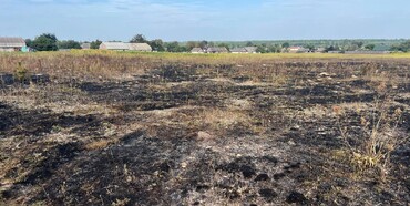 На Рівненщині жінка підпалила траву і сама загинула в полум’ї