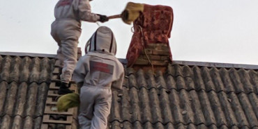 На Рівненщині рятувальники продовжують знищувати кубла небезпечних комах (ФОТО)
