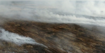 На Рівненщині рятувальники досі борються з мастштабною пожежою на полях (ВІДЕО)