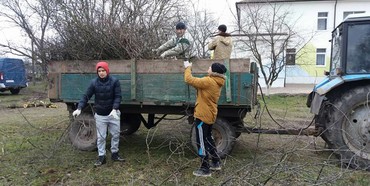 У Гощі волонтери вирізали дерева на території садочку 