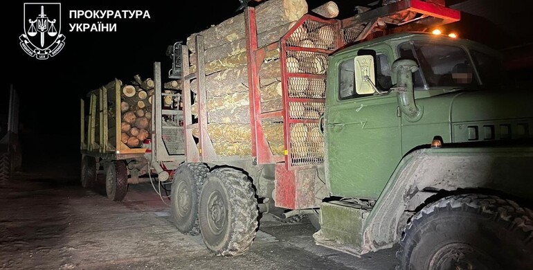 На Рівненщині власник пилорами вдарив поліцейського, перешкоджаючи обшуку 