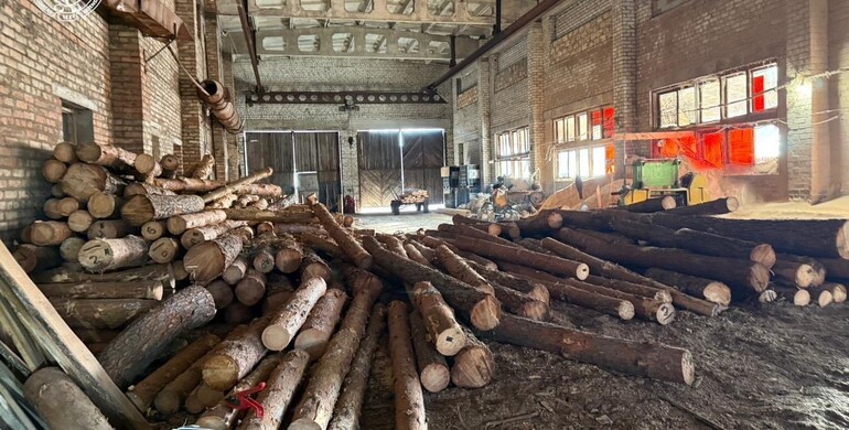 На Рівненщині власник пилорами вдарив поліцейського, перешкоджаючи обшуку 