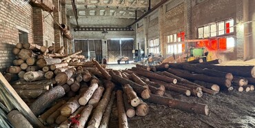 На Рівненщині власник пилорами вдарив поліцейського, перешкоджаючи обшуку 