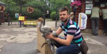 Депутат Рівненської облради врятував рідкісного птаха