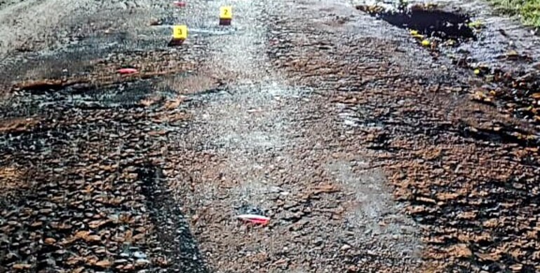 На Сарненщині загинув 11-річний водій двоколісного На Сарненщині загинув 11-річний водій двоколісного