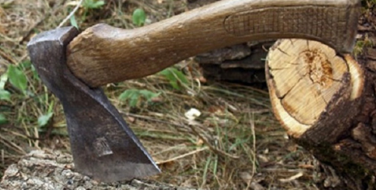 Селяни на Рівненщині стали на захист "чорних" лісорубів