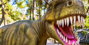 Рівнян та гостей міста запрошують у зоопарк до динозаврів та найбільший батут !