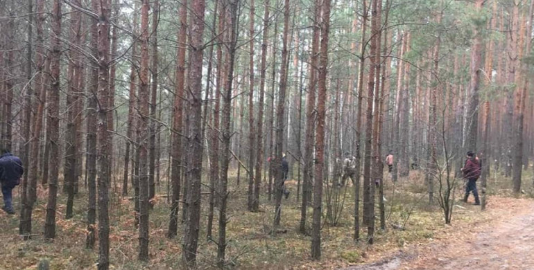 У Вараському районі  розшукують зниклу в лісі жінку