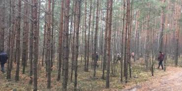 У Вараському районі  розшукують зниклу в лісі жінку