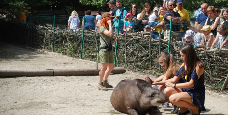 У Рівненському зоопарку гучно та весело святкували День народження тапіра
