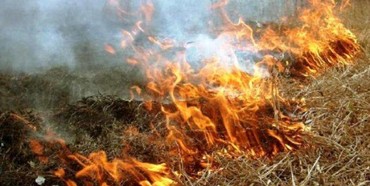 На Рівненщині зросла кількість випадків пожеж в екосистемах (ФОТО)