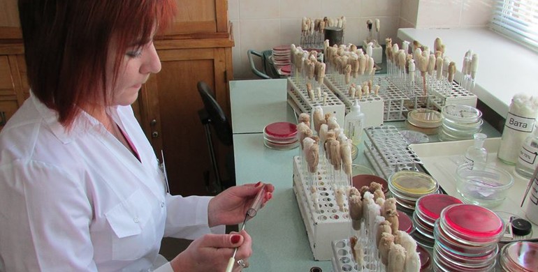 Небезпечні яйця: першачків з Рівненщини на лікарняні ліжка поклала сальмонела
