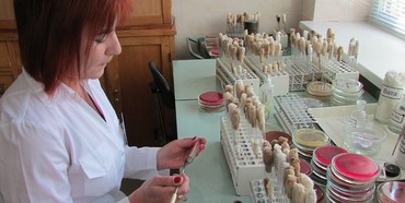 Небезпечні яйця: першачків з Рівненщини на лікарняні ліжка поклала сальмонела