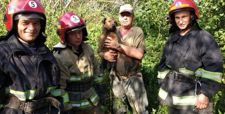 Дубенські рятувальники врятували пса, що впав у колодязь (ФОТО)