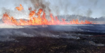 Масштабна пожежа біля Рівного: невідомі підпалили поле (ФОТО)