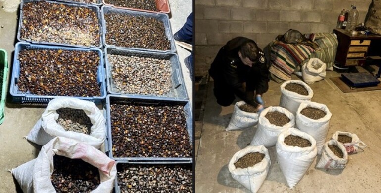 На Рівненщині виявили нелегальний бурштиновий бізнес 