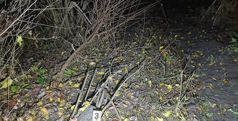 На Дубенщині внаслідок ДТП травмувалися водій та пасажир фургону