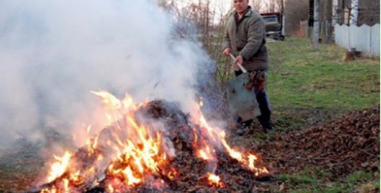 На Рівненщині паліїв листя оштрафували на 1300 гривень