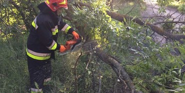 На Трійцю рівненським пожежникам довелось різати дерева