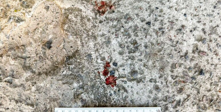 У Вараші жінка вбила знайомого після розпивання алкогольних напоїв 