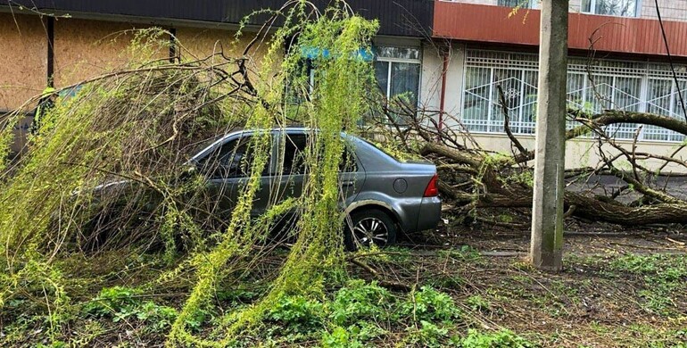 Рятувальники Рівненщини ліквідовували наслідки негоди