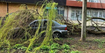 Рятувальники Рівненщини ліквідовували наслідки негоди