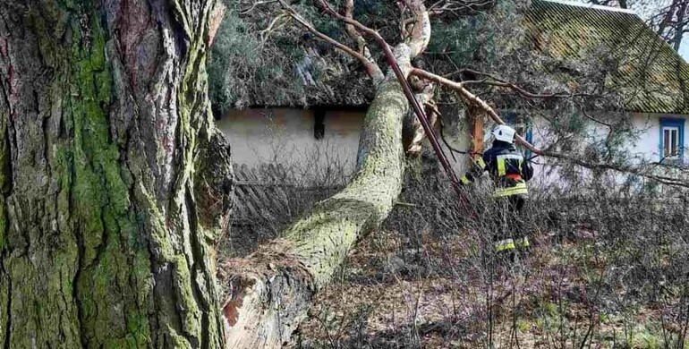 Рятувальники Рівненщини ліквідовували наслідки негоди
