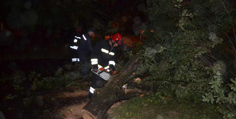 Лише за один день рятувальники у Рівному чотири раз звільняли дороги від повалених дерев