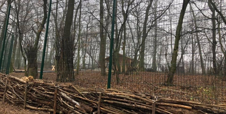 У Рівненському зоопарку чекають на нових мешканців – оленів (ФОТО)
