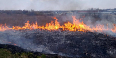 Лише за добу на Рівненщині чотири рази палили поля