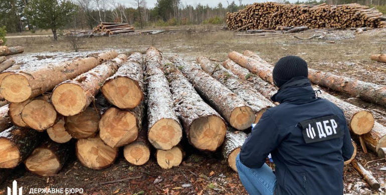 ДБР підозрює лісівників Рівненщини в незаконній порубці лісів