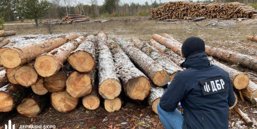 ДБР підозрює лісівників Рівненщини в незаконній порубці лісів