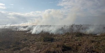 Село на Рівненщині охопила димова завіса