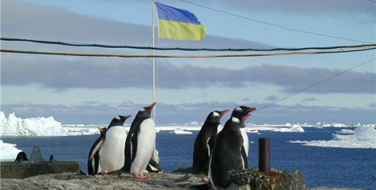 В Україні стартував набір на річну експедицію в Антарктиду