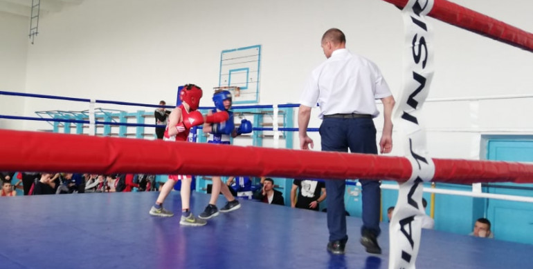В Острозі змагалося 100 боксерів Західної України