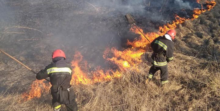 На Рівненщині рятувальники за минули добу ліквідували 14 пожеж у природних екосистемах області