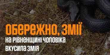 На Рівненщині чоловіка вкусила змія 