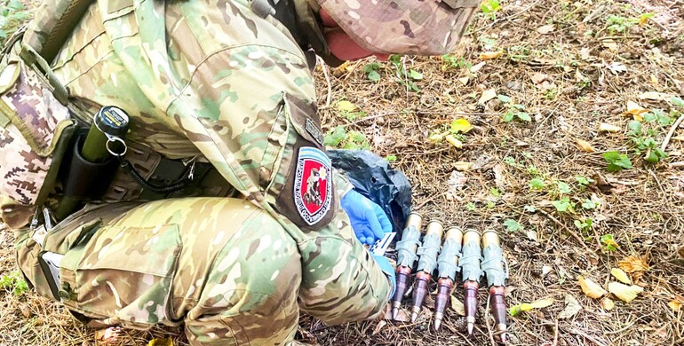 У жителя Дубна вилучили схрон боєприпасів