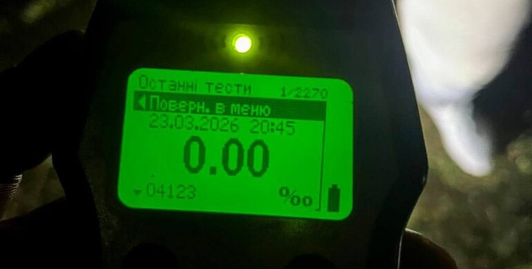 У Зарічному водійка збила оленя і втекла з місця ДТП