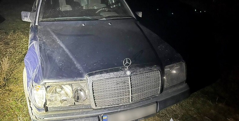 У Зарічному водійка збила оленя і втекла з місця ДТП