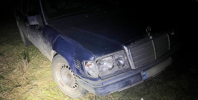 У Зарічному водійка збила оленя і втекла з місця ДТП