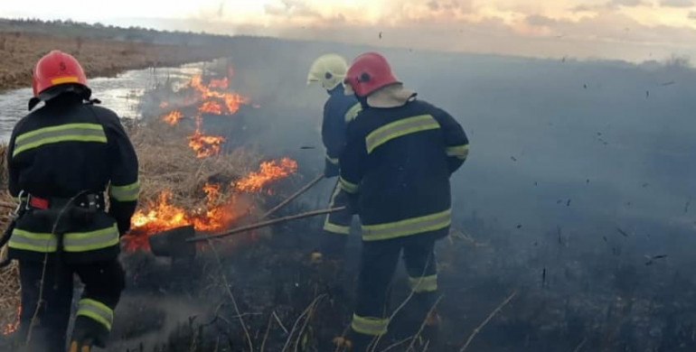 На Дубенщині рятувальники ліквідували пожежу сухостою на відкритій території 