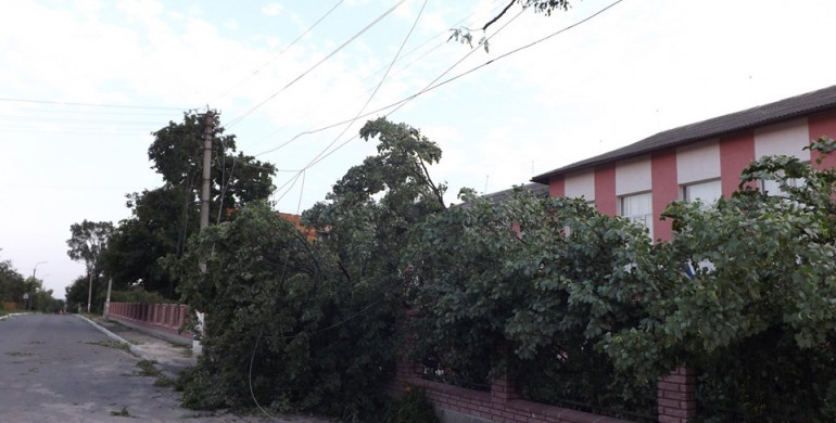 У Зарічному піщана буря повиривала дерева з корінням та позривала дахи ФОТО)