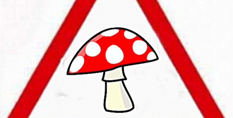Поради рівнянам: як уникнути отруєння грибами 