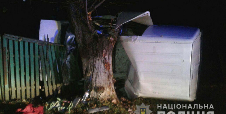 На Рівненщині – аварія: водійка знесла паркан та врізалась у дерево (ФОТО)