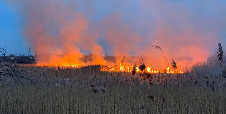 На Рівненщині вогнеборці ліквідували першу у цьому році пожежу сухої трави та очерету