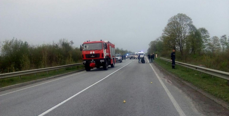 ДТП поблизу Грушвиці: відомі деталі аварії