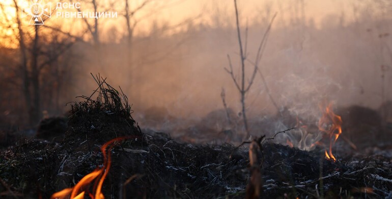 20 пожеж за добу в екосистемах Рівненщини: ситуація критична